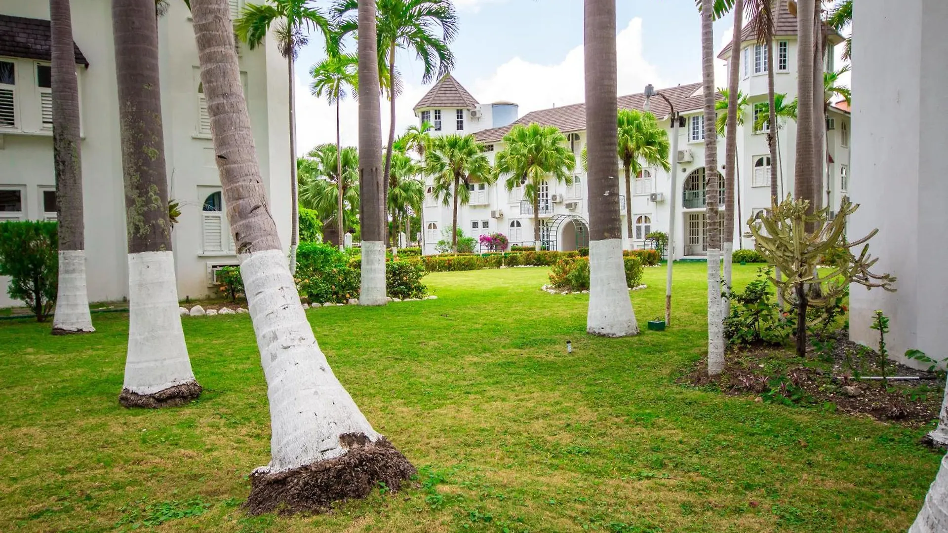 Lejlighed Center Of Ocho Rios-Beachfront Studio-Free Beach Access-Pool-Free Parking-Gated Complex-Free Wifi 100Mbps