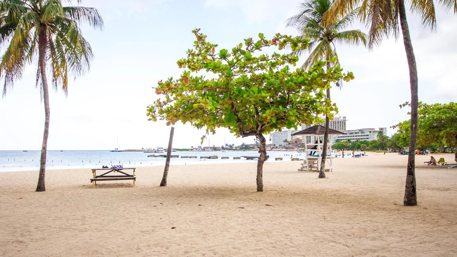 Center Of Ocho Rios-Beachfront Studio-Free Beach Access-Pool-Free Parking-Gated Complex-Free Wifi 100Mbps 0*,